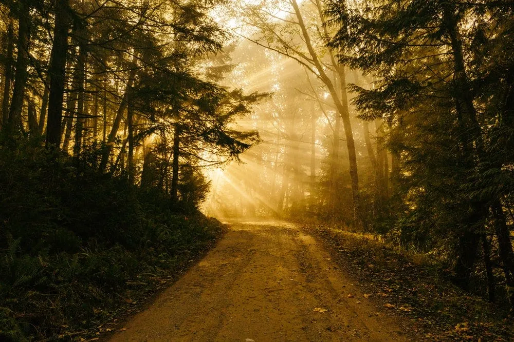 What’s your journey up to now? Why is this role the best outcome for both of us? Photo by Patrick Fore